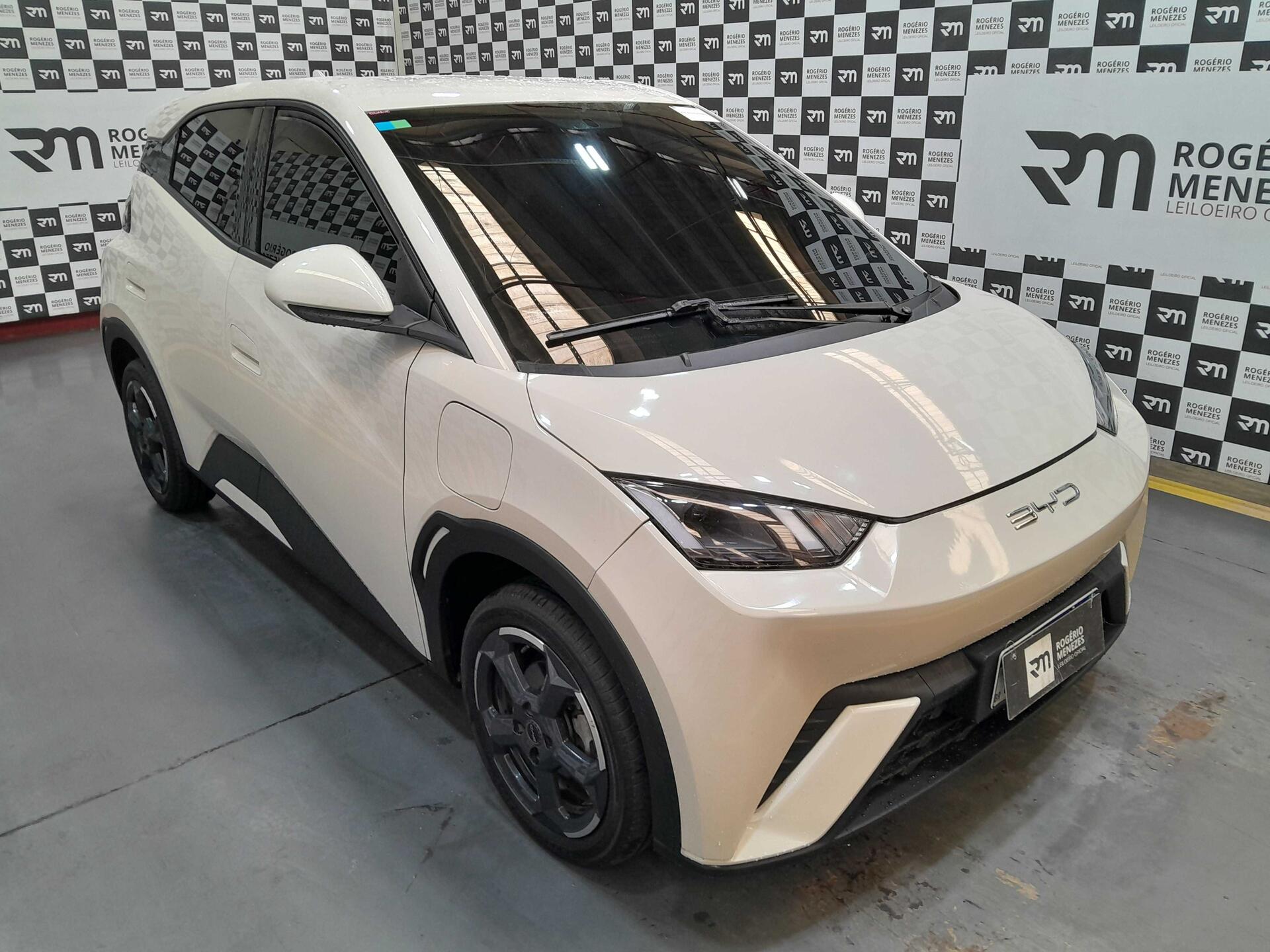 BYD DOLPHIN MINI GS EV 2024 