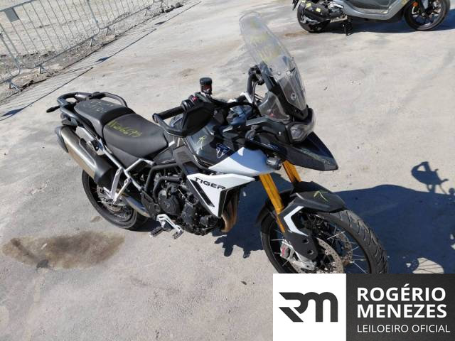 TRIUMPH TIGER 2024