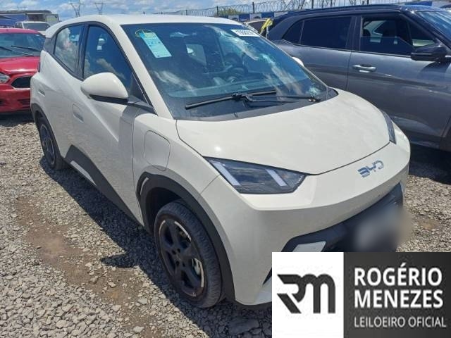 BYD DOLPHIN MINI 2026