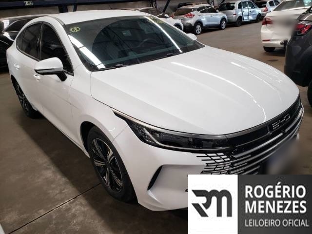 BYD KING 2025