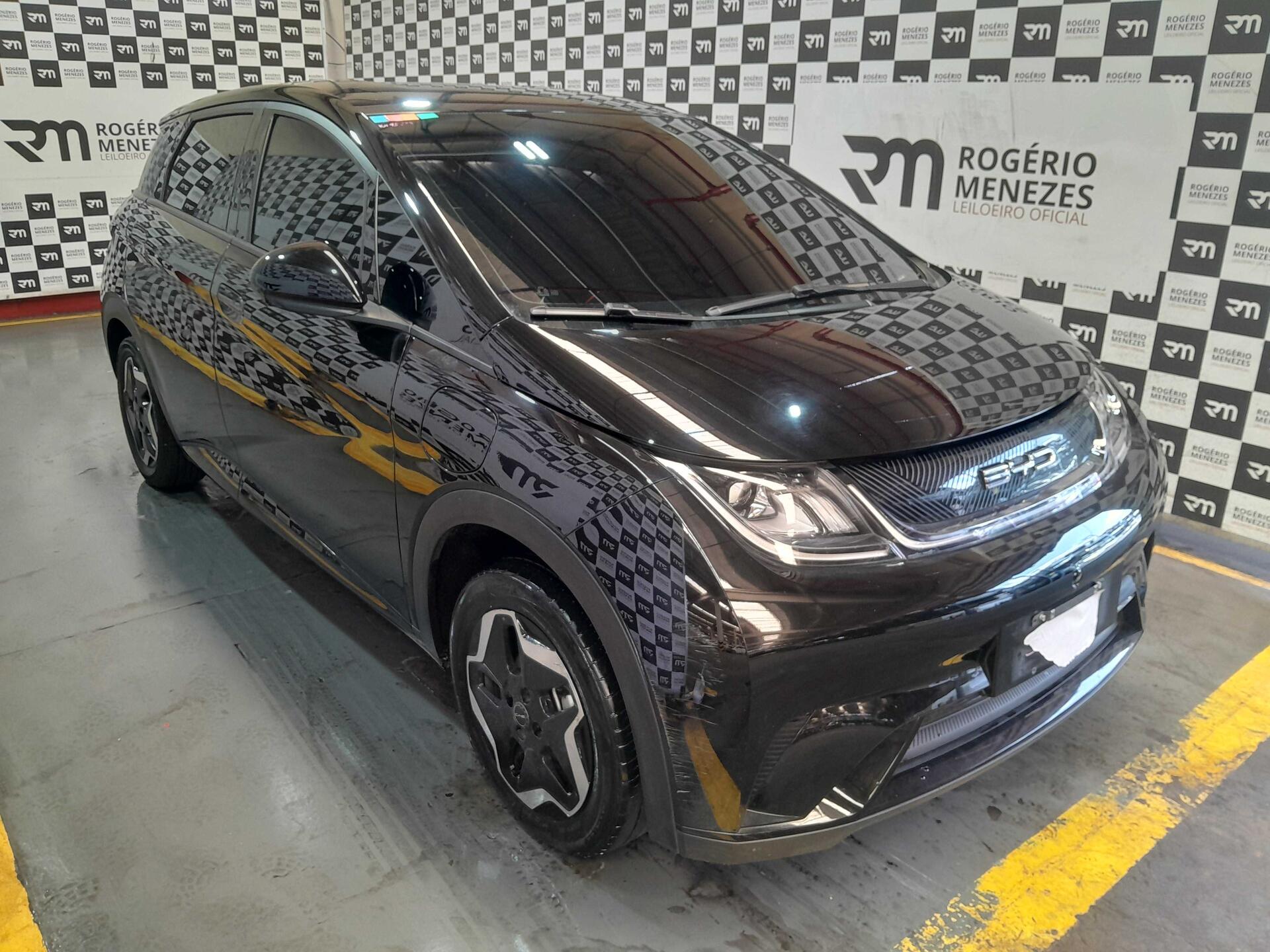 BYD DOLPHIN GS 2024